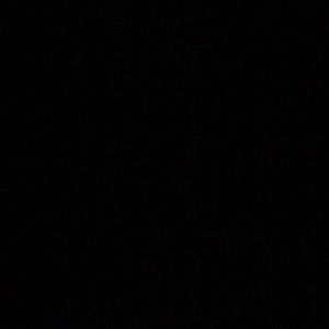 Meet your Posher, Bo